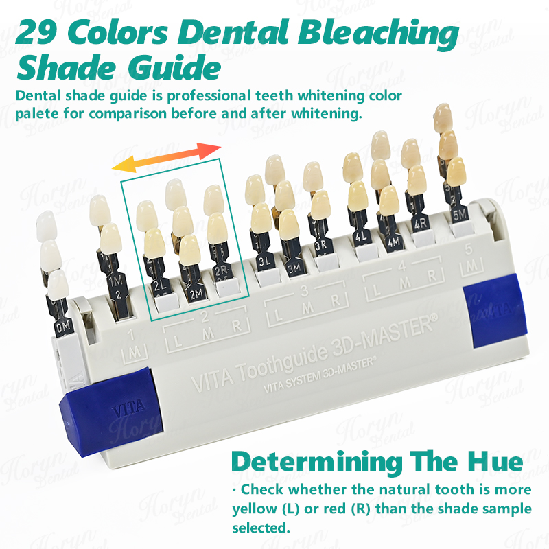 Vita 3D Master Dental Lab Blea - Teeth Whitening/Bleaching 评论和价格