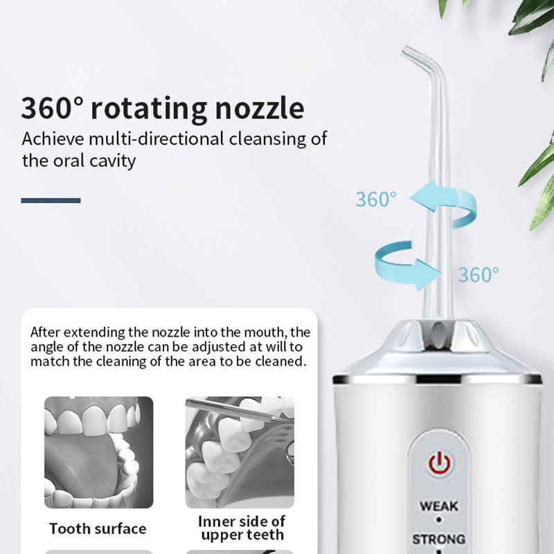 2026 Oral Irrigator Dental Wat - Dental Floss Picks 评论和价格