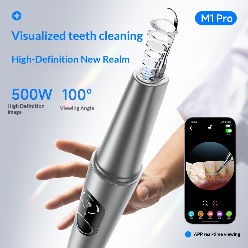 HOMEFISH Home Dental Cleaning  - Teeth Whitening Machine Professional 评论和价格