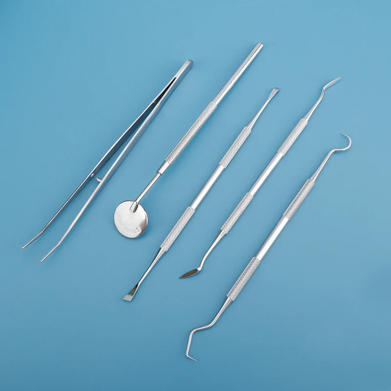 Dental Tool Interdental Toothp - Dental Floss Picks 评论和价格